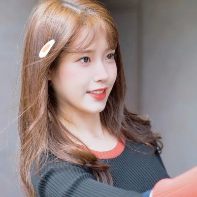 元首的面孔