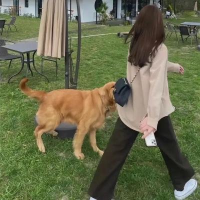 边城小镇第一季